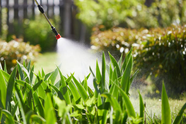 24/7 Emergency Cockroach Control experts in Goleta, CA