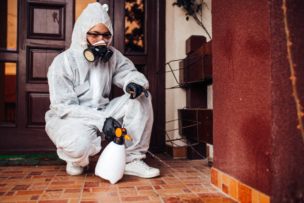 Reliable Cockroach Control contractor in Goleta, CA by Nex Pest Control